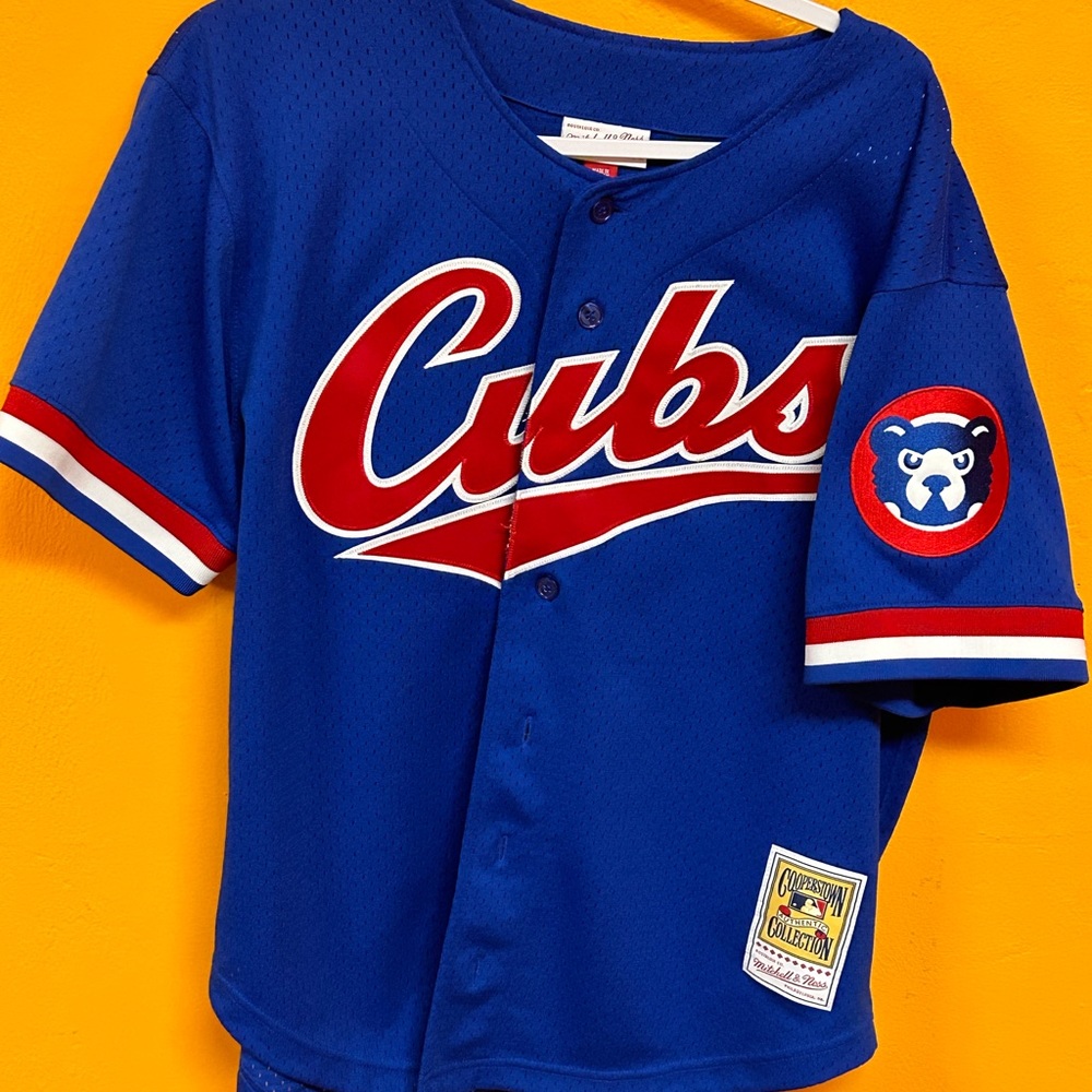 Brand new Chicago Cubs jersey